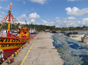 完成した係留岸壁と漁網置き場