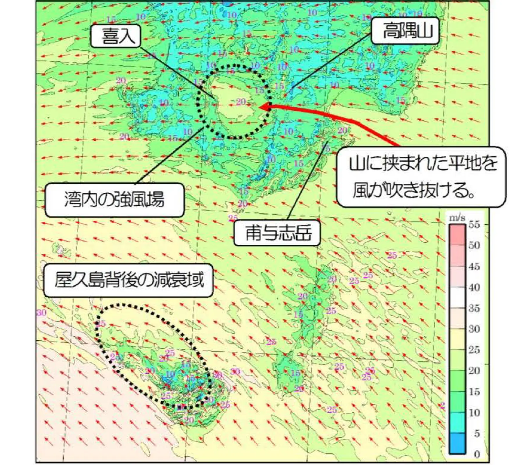 波浪推算｜数値解析・シミュレーション