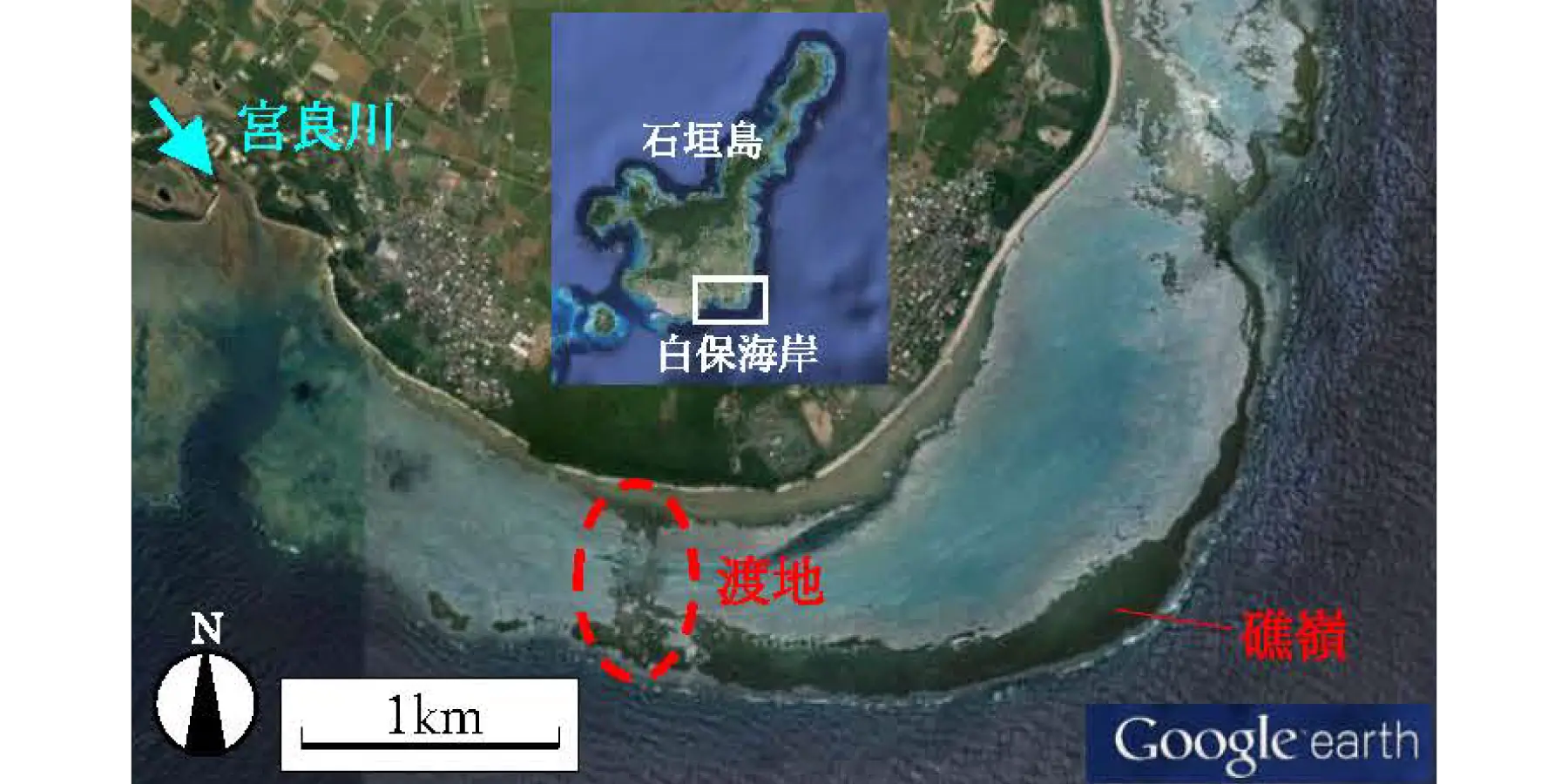 潮流計算・海浜流計算｜数値解析・シミュレーション