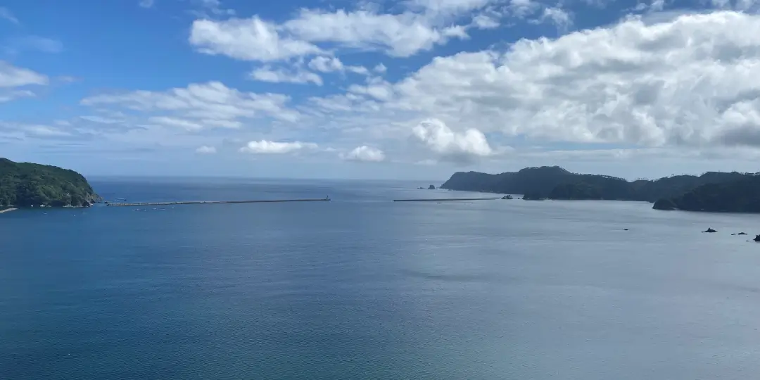これからの目標｜沿岸計画部インタビュー